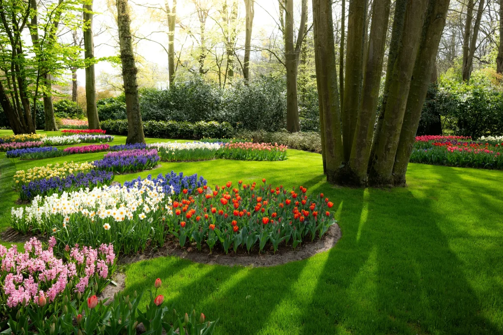Ridgewell landscaping design colorado