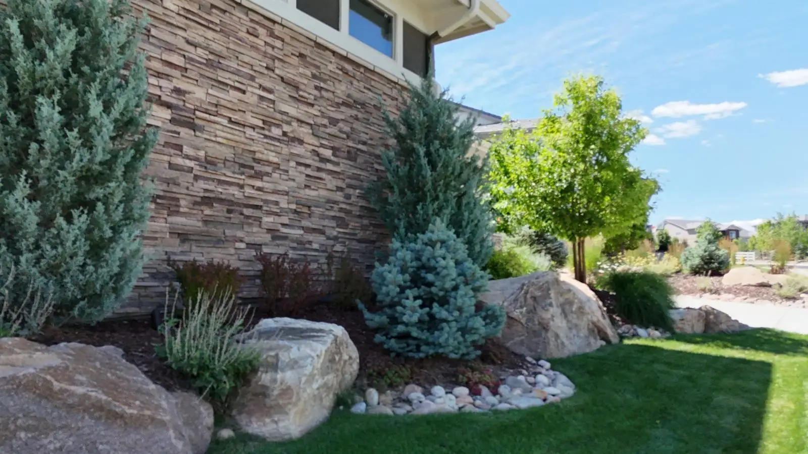 Foundation planting with evergreens and boulders beside a lawn
