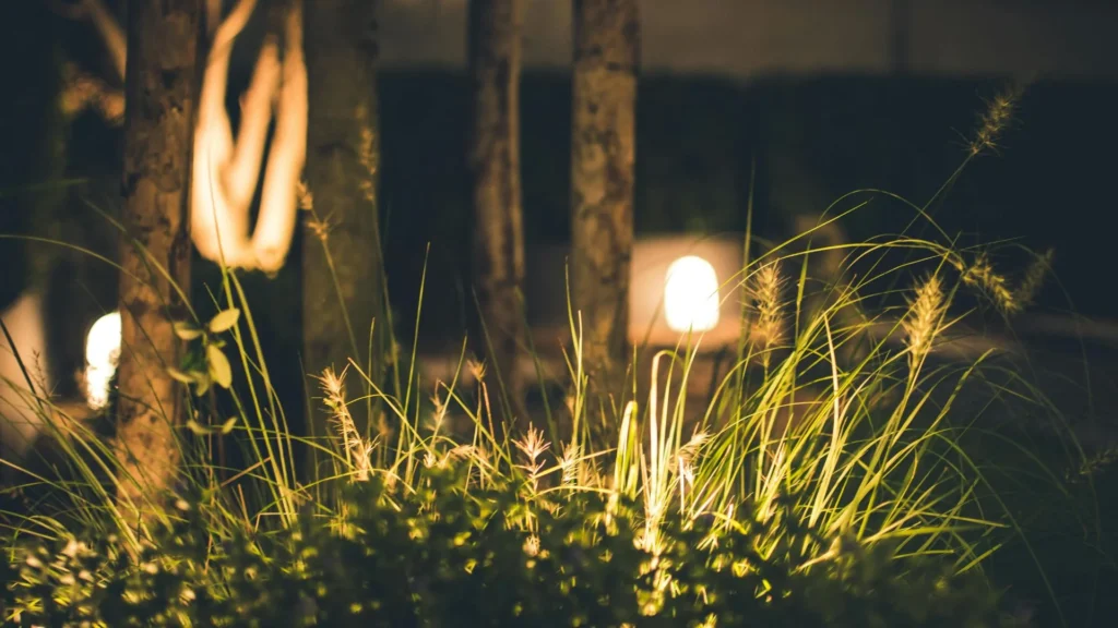 Landscape Lighting