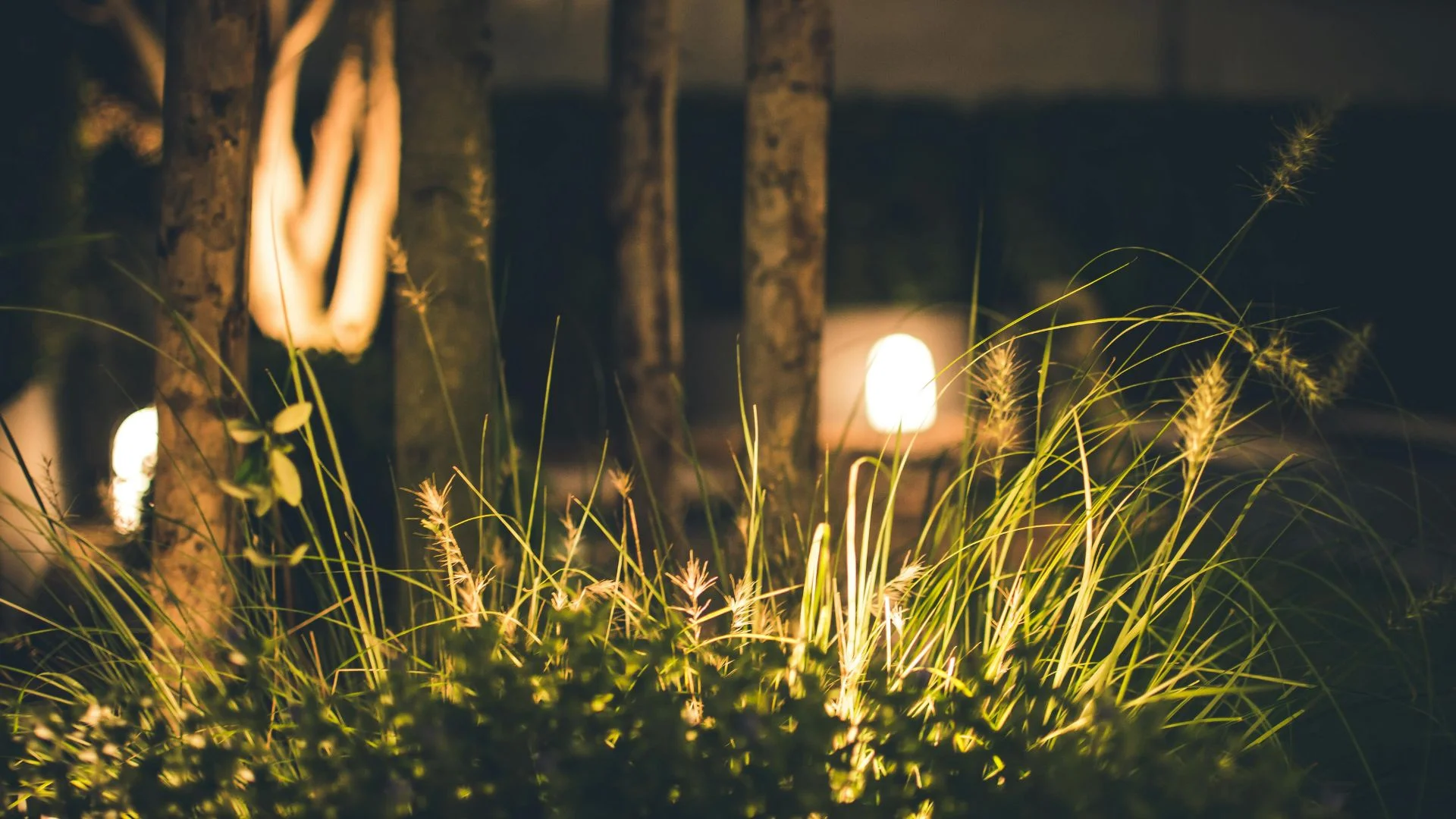 How To Install Low Voltage Landscape Lighting