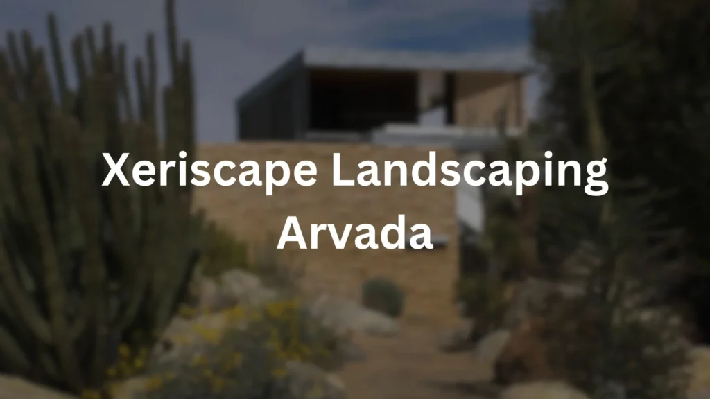 Xeriscape Landscaping Arvada