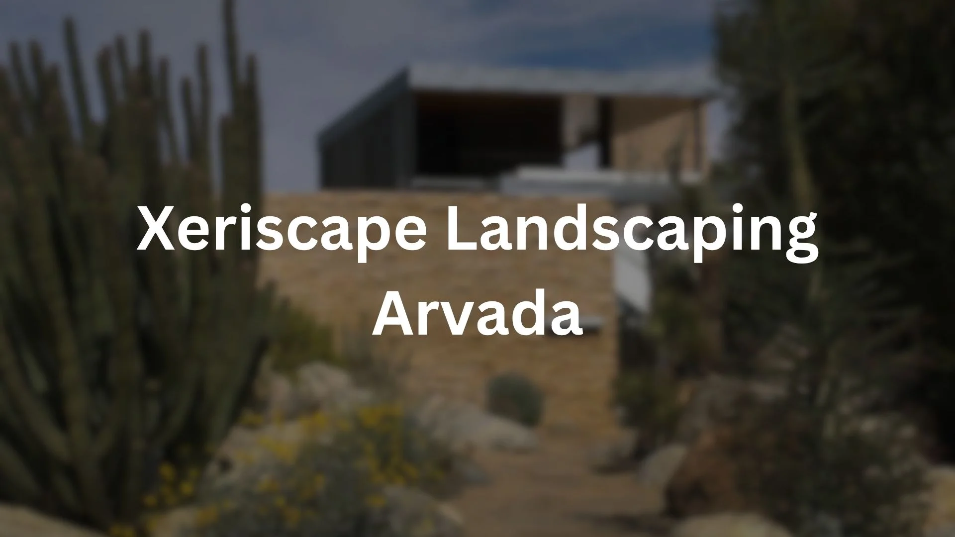 Xeriscape Landscaping Services in Arvada, CO