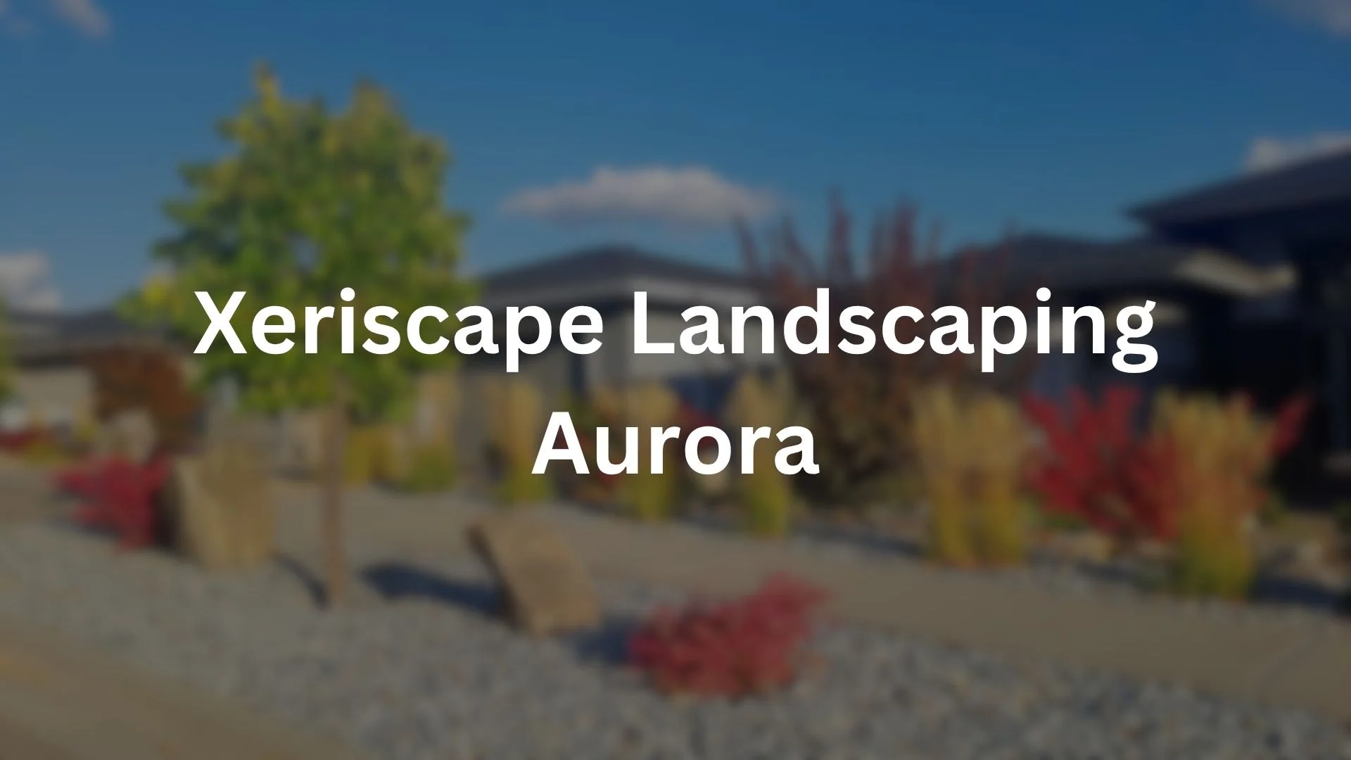 Drought-Tolerant Landscaping in Aurora, CO