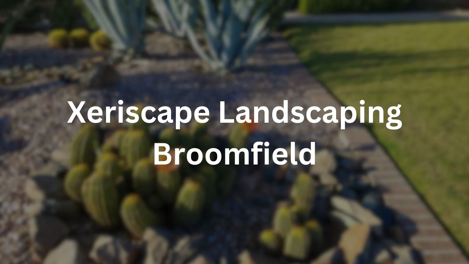 HOA-Friendly Xeriscaping Services in Broomfield, CO