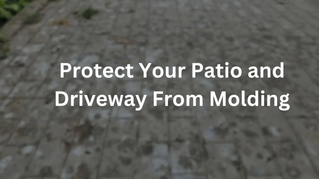 protect your driveway from molding