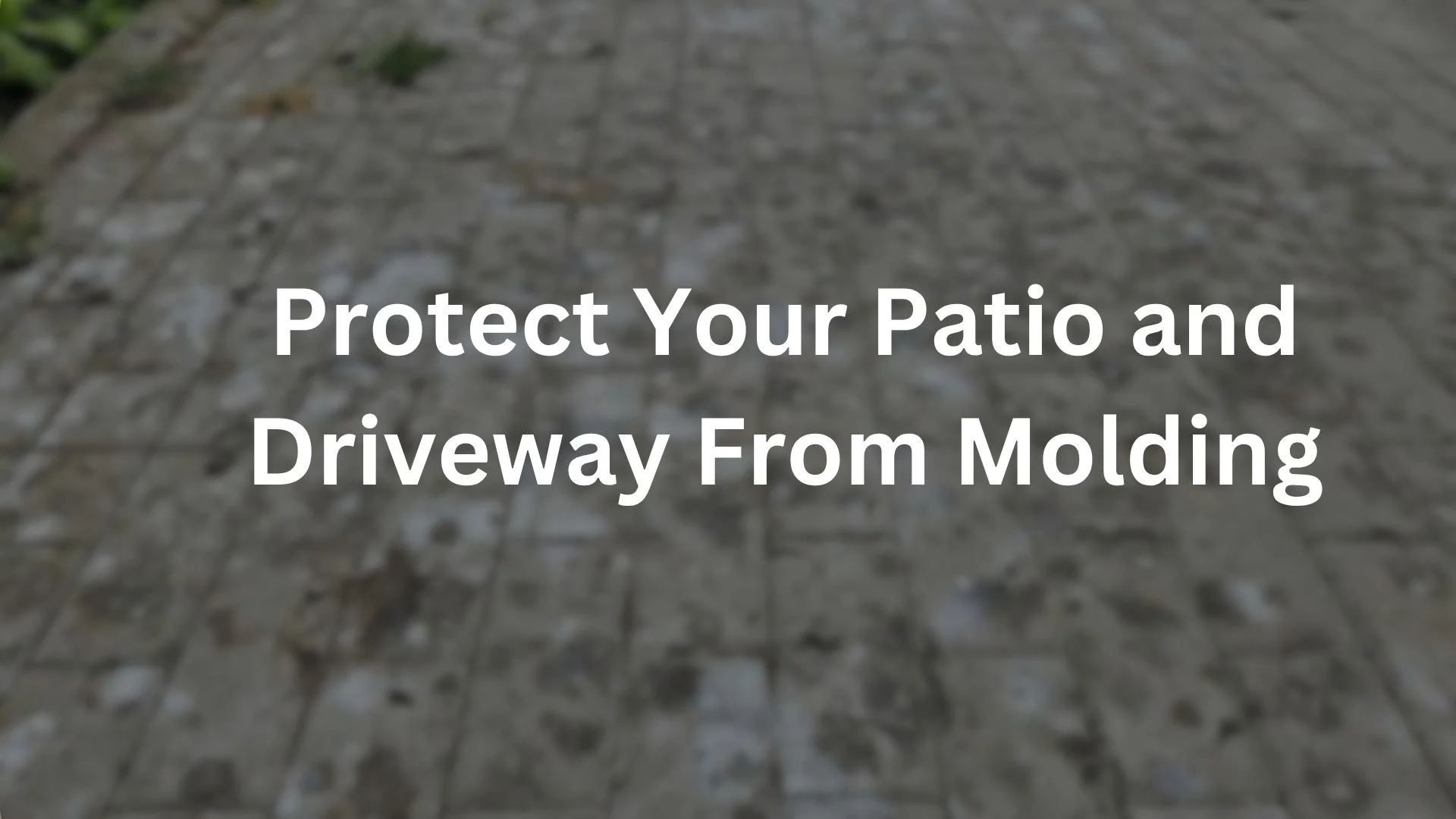 How to Keep Your Patio and Driveway From Molding
