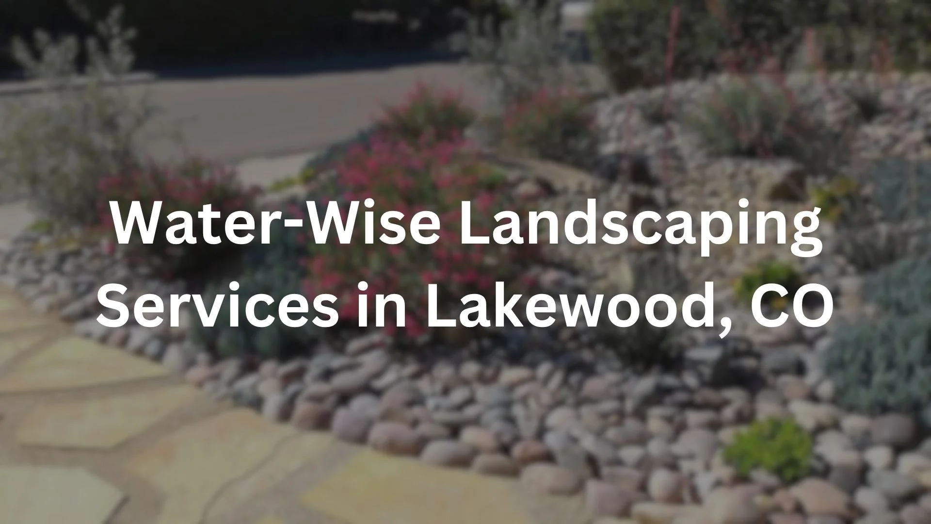 Water-Wise Landscaping Services in Lakewood, CO