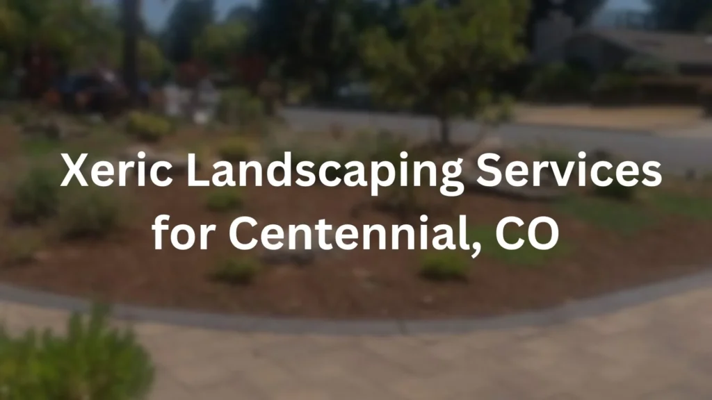 Xeric Landscaping Services for Centennial, CO