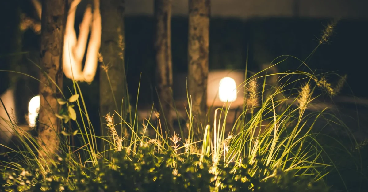 Landscape Lighting