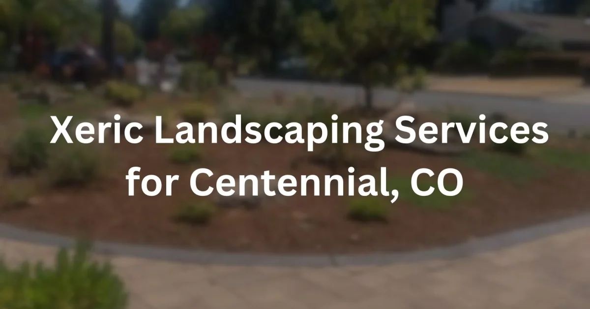 Xeric Landscaping Services for Centennial, CO