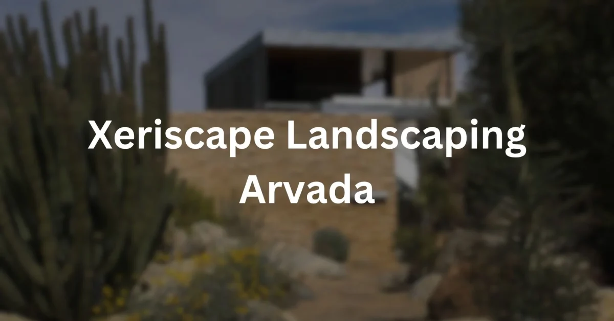 Xeriscape Landscaping Arvada