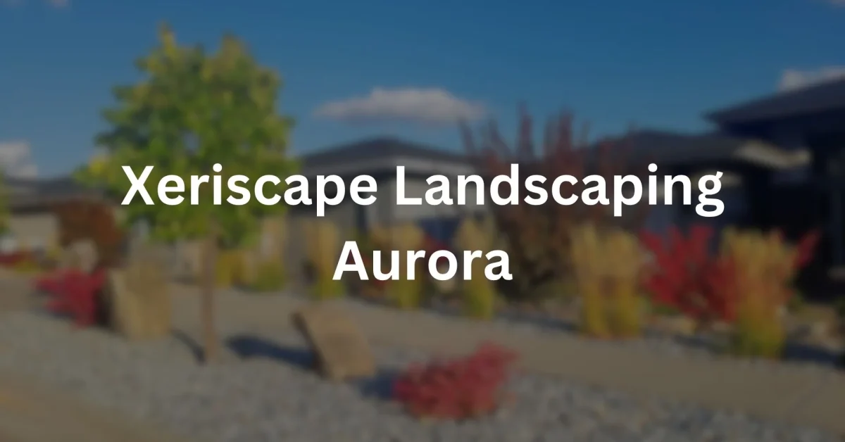Xeriscape Landscaping Aurora,CO