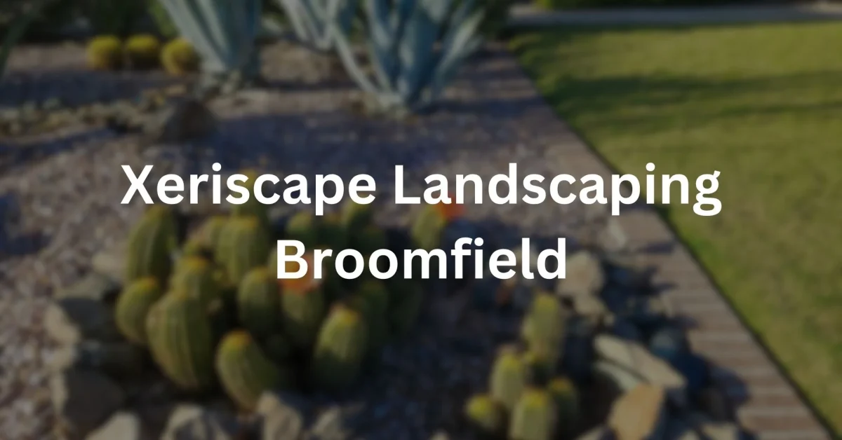 Xeriscape Landscaping Broomfield,CO