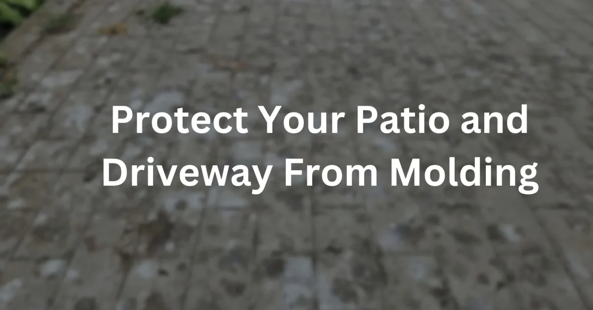 protect your driveway from molding